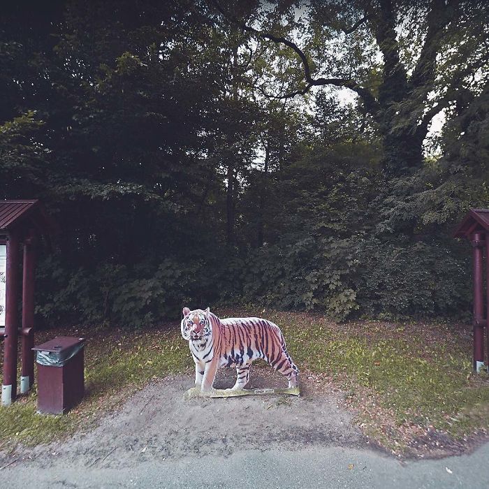 Une voyageuse virtuelle a utilisé Google Street View pour visiter la Pologne, voici de qu'elle a trouvé (19 photos)